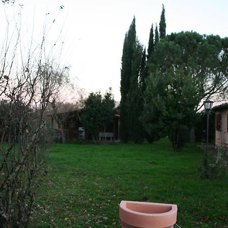 Podere La Vecchia Fornace Cortona Exteriör bild